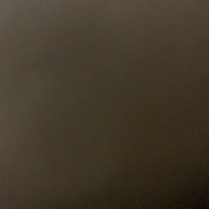 Meet your Posher, Will